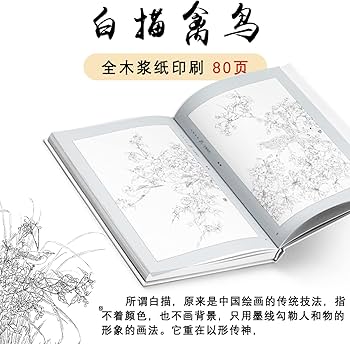 Amazon.com: 白描禽鸟/白描画谱: 9787534057502: 匿名: Books